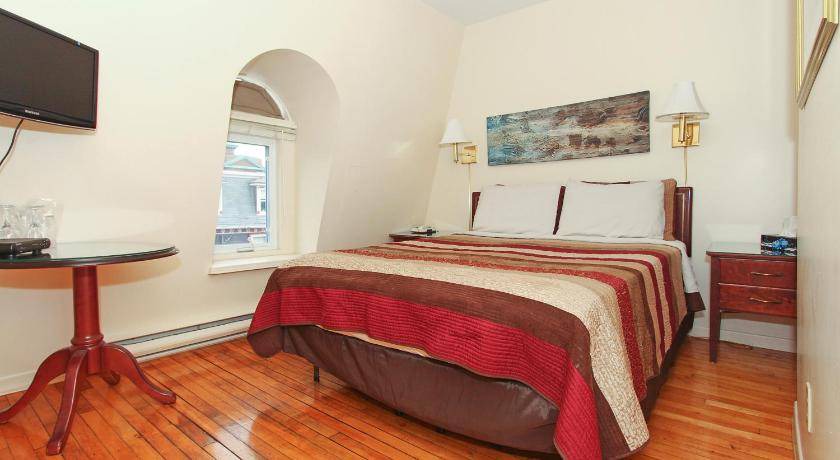 Downtown St. John's Bed & Breakfast | 25 m² Bed and breakfast ∙ 4 guests