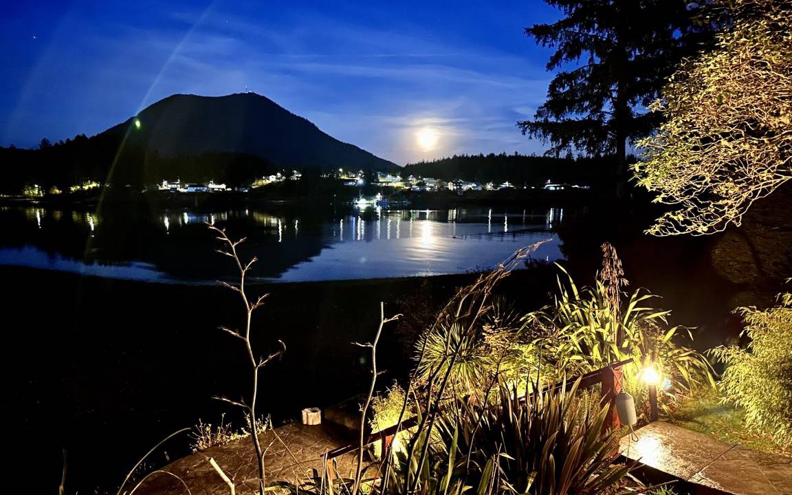 Ucluelet Hotel | 26 m² Hotel ∙ 1 bedroom ∙ 2 guests