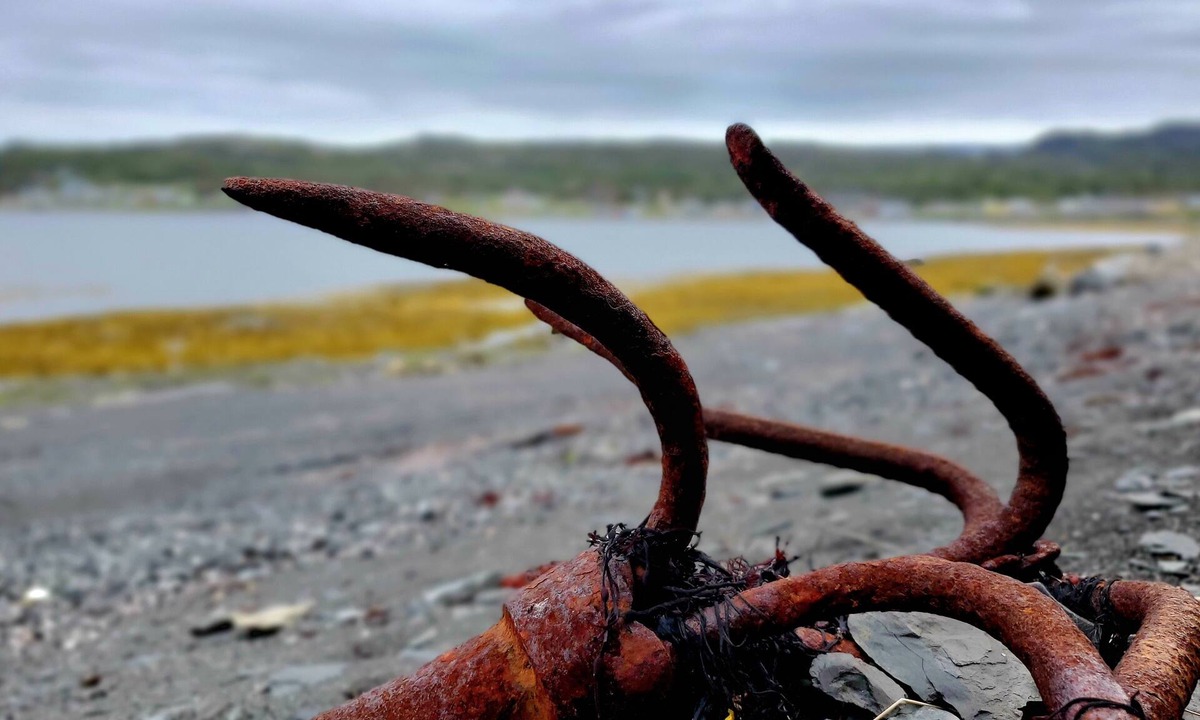 Rocky Harbour House | 2BR Oceanfront Home in Gros Morne Ntl Park