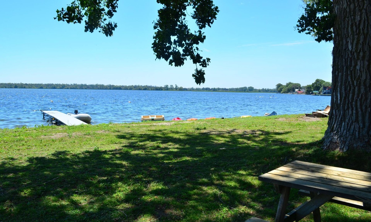 Brighton Cottage | #3 Family and pet friendly - monthly/seasonal rental