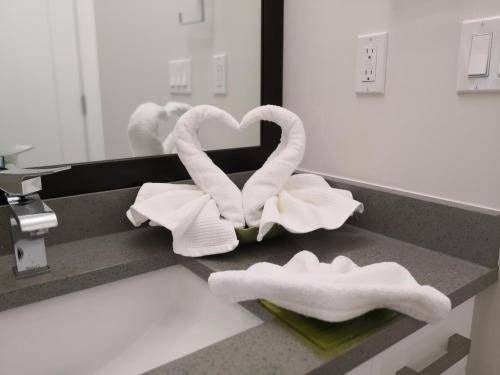 White Rock Bed & Breakfast | 30 m² Bed and breakfast ∙ 2 guests