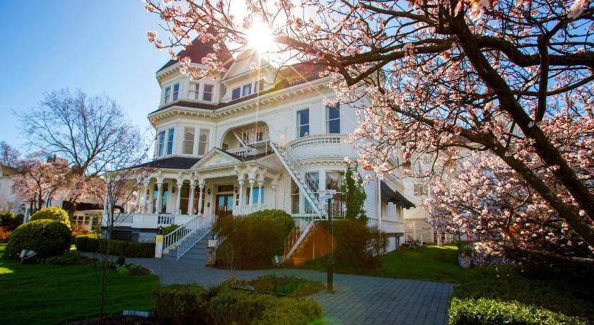 Inner Harbour Hotel | 39 m² Hotel ∙ 4 guests