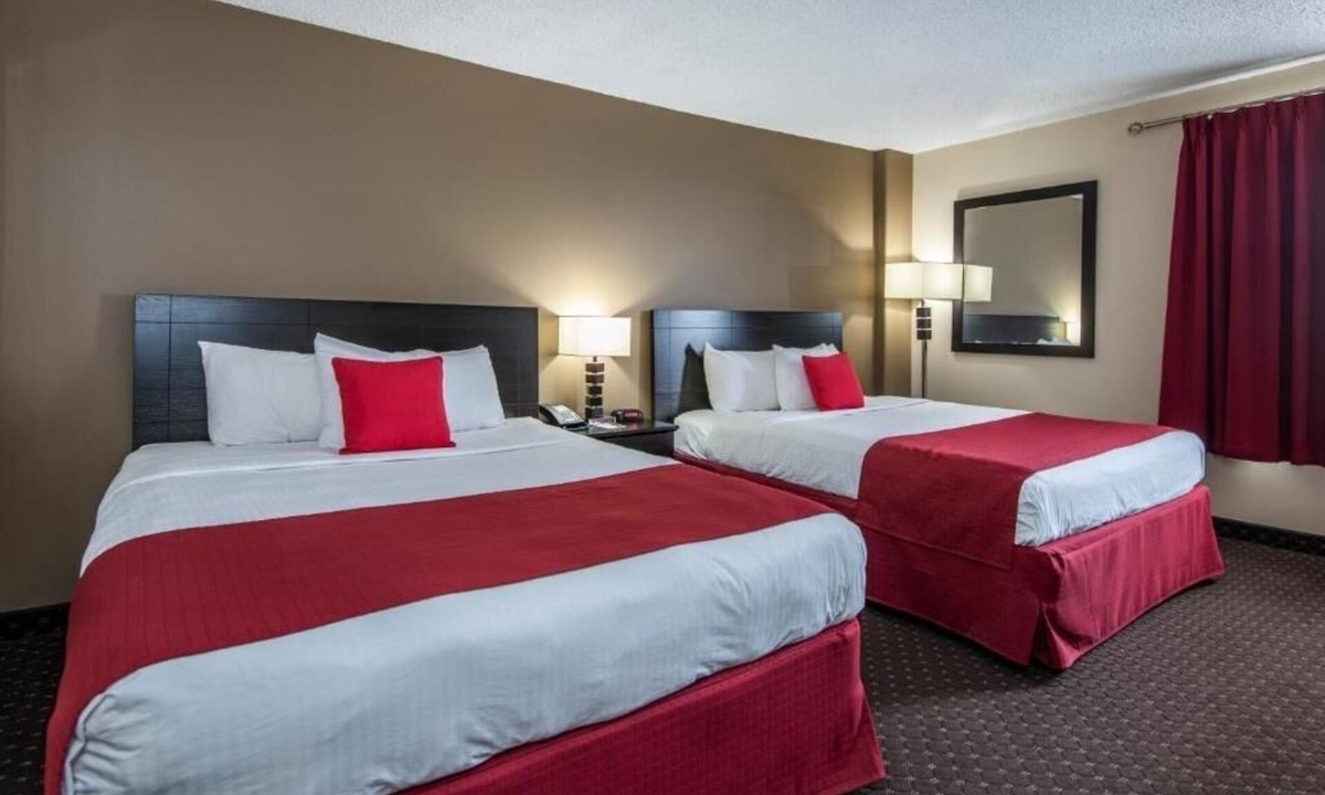 Grande Prairie Hotel | 4 Spacious Rooms Near Philip J Currie Dinosaur Museum, Just 20 Min Away