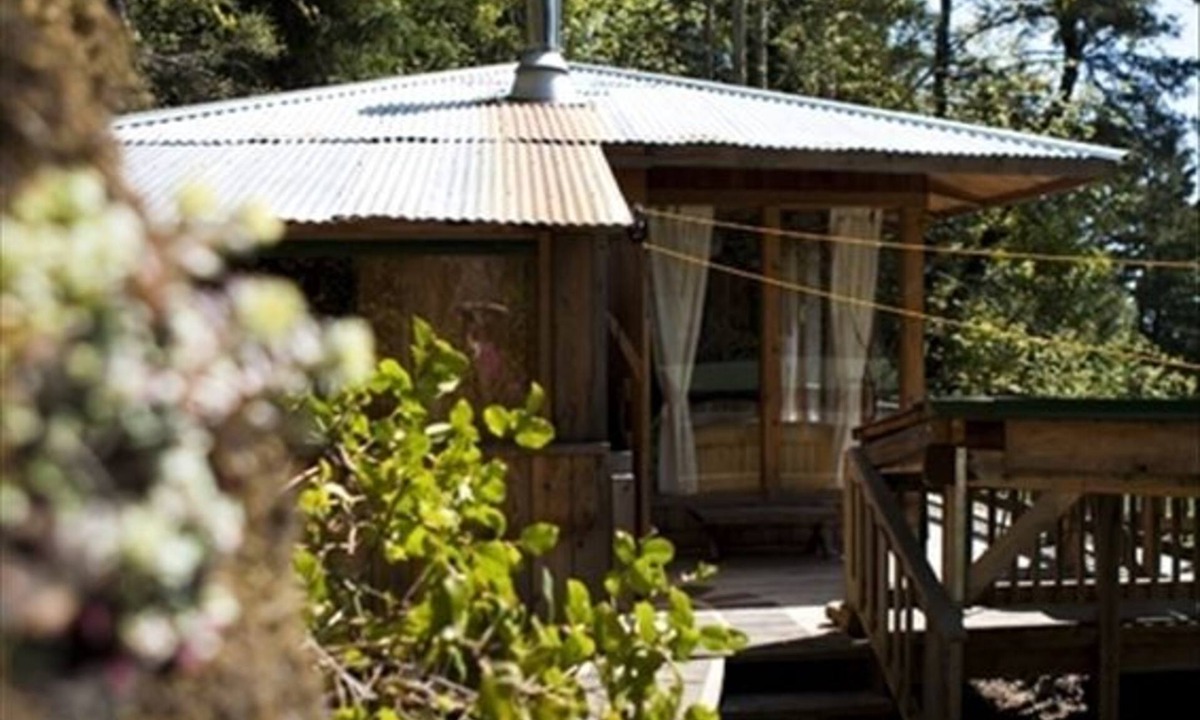 Salt Spring Island Cabin | A Happy Nest up in the trees, unique Salt Spring Cottage close to town