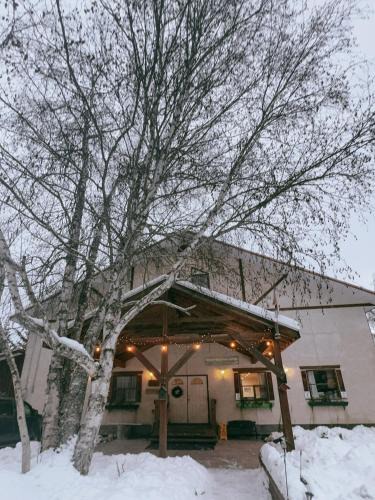 Golden Cabin | Alpine Meadows Lodge