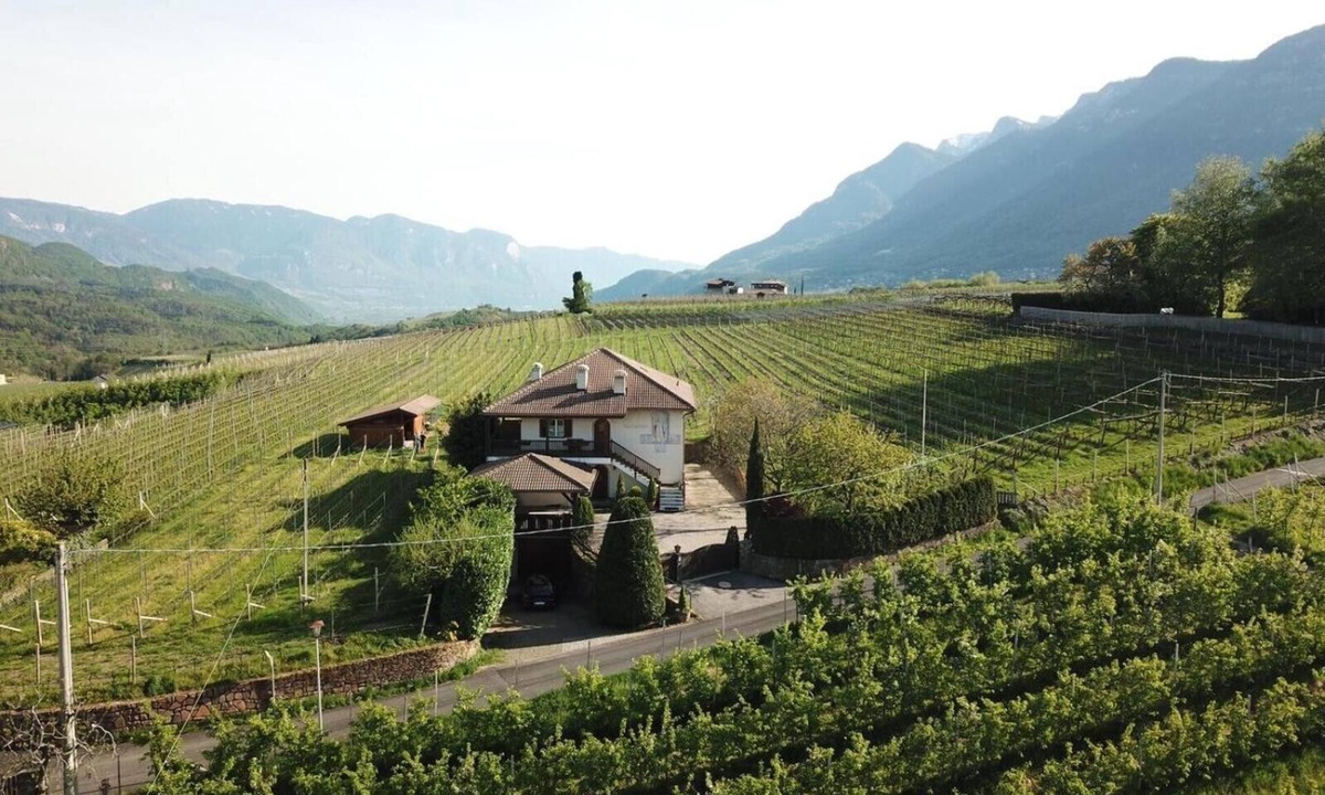 Pianizza Di Sopra Apartment | Apartment 'Weingut Hochleiten Latemar' with Mountain View, Balcony and Wi-Fi
