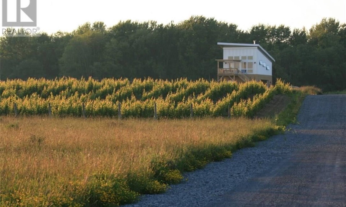 Wellington Cabin | Between the Vines