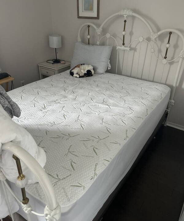 Orleans Village - Chateauneuf Resort | Private room ∙ 1 guest