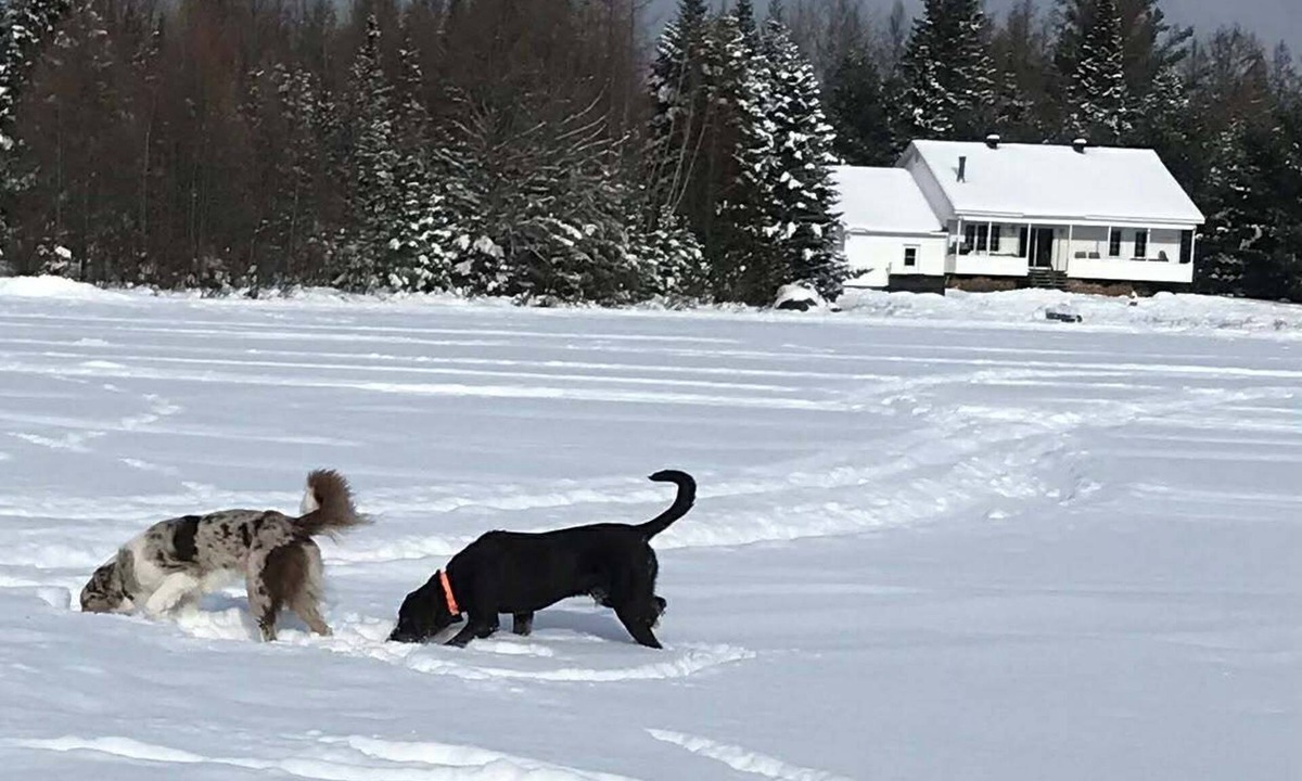 Lac-Superieur Ski Chalet | Chalet, Lac Supérieur, fireplace (incl. wood), SPA, 13 min from Tremblant.