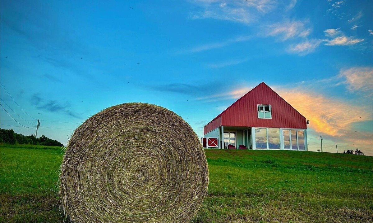 Park Corner Cottage | Country cottage, exceptional view, lake, dunes and sea. 5 minutes from the beach
