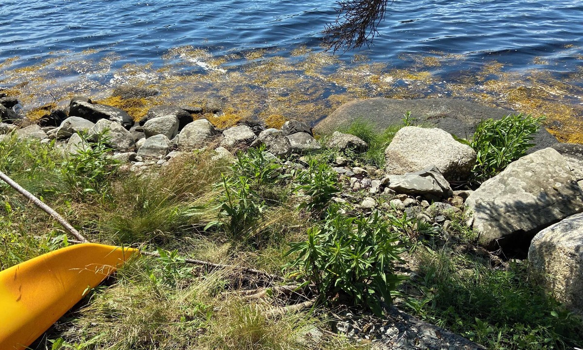 Spry Bay Cottage | Cozy private waterfront cottage on the Eastern shore. Just 1.5hrs from Halifax.