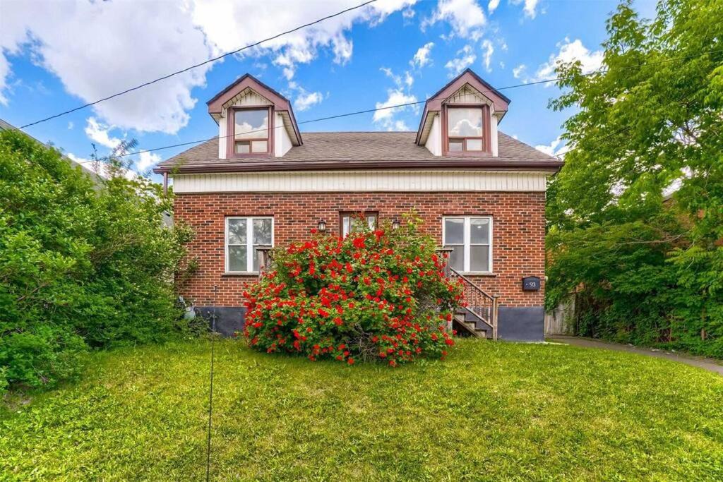 Hamilton House | Cozy, Spacious Hamilton home with Bonfire and a big Lot!