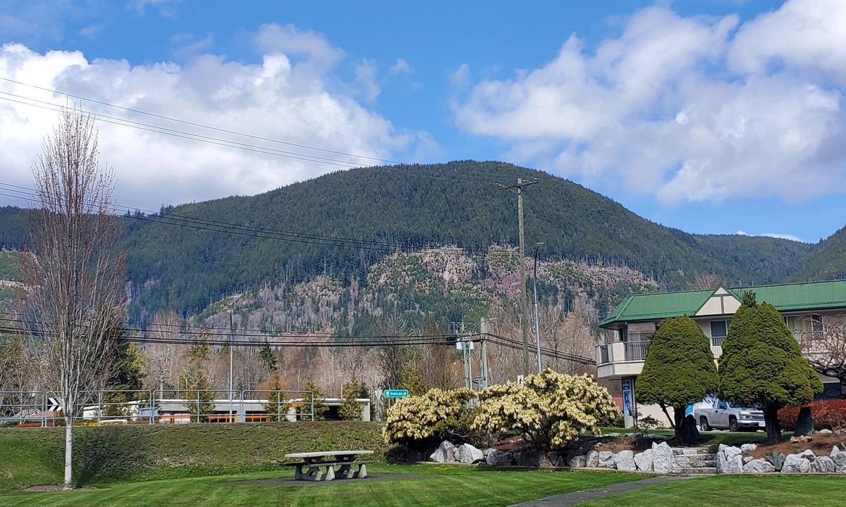 Lake Cowichan House | Cozy Studio Suite