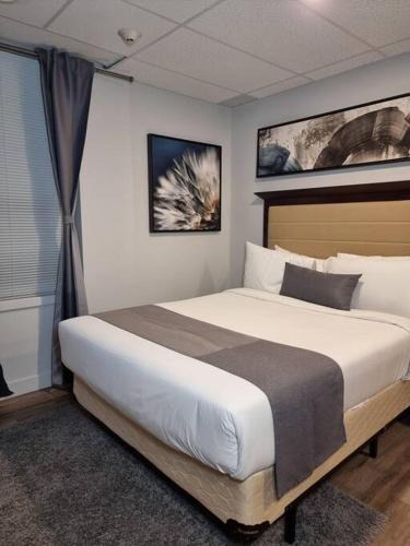 Downtown Gatineau Apartment | Cozy Sweet Studio #2. Ten minutes to D.T Ottawa