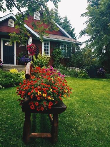 Golden Bed & Breakfast | Deer Ridge B&B
