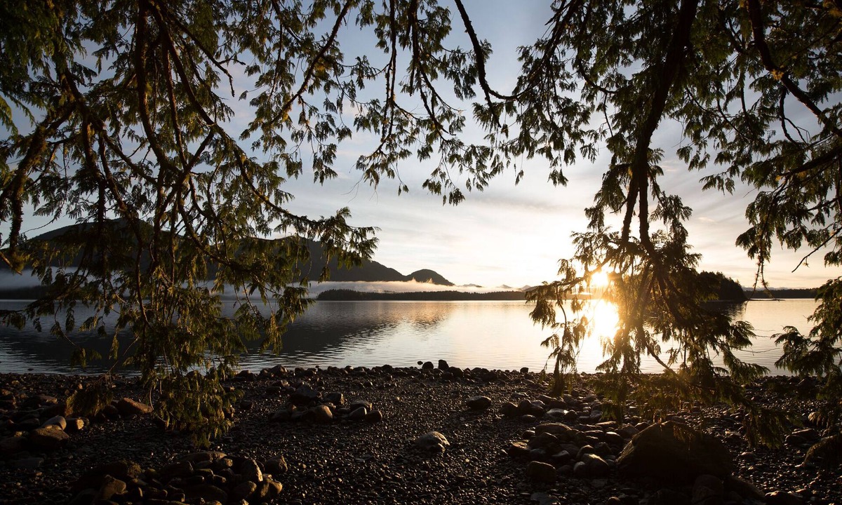 Tofino House | Eagle's Nest Suite-Inlet, Forest Views, Marina