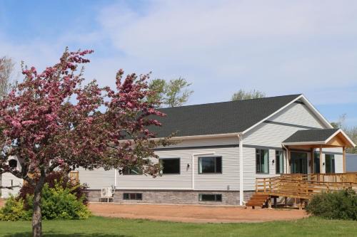 Lower Montague Hostel | EcoSun Hostel - Female-Only
