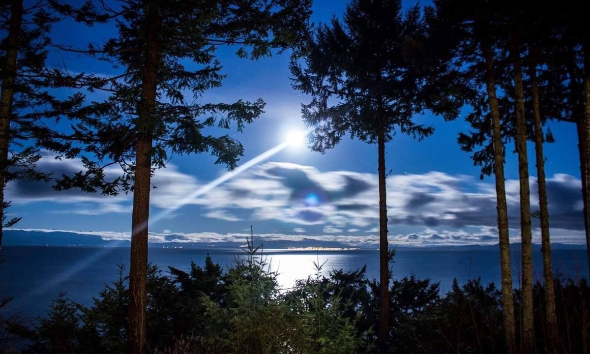Courtenay Cottage | .Experience the Island