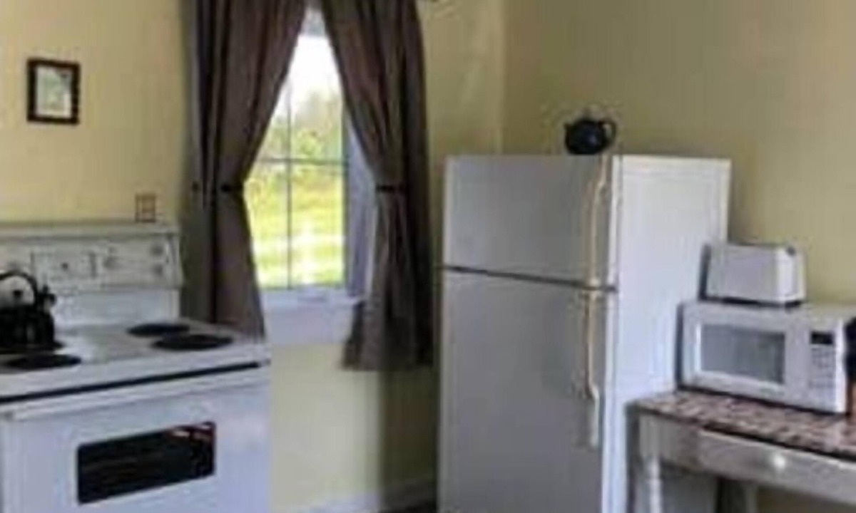 Twillingate Cottage | Experience Tranquility: Cricket Field Offers Charming Retreat in Twillingatate