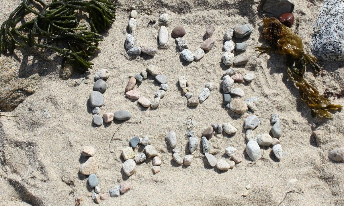 Black Point Cottage | Families, Friends, Pet Friendly.