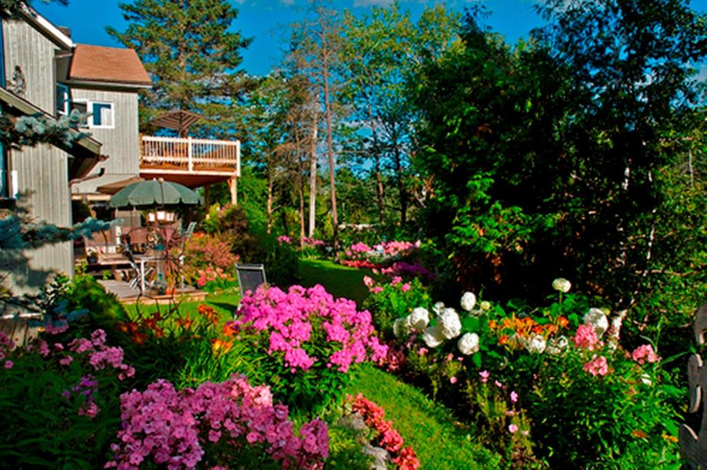 Mont-Laurier Hotel | Gîte au Pied du Courant de Gilbert Desjardins
