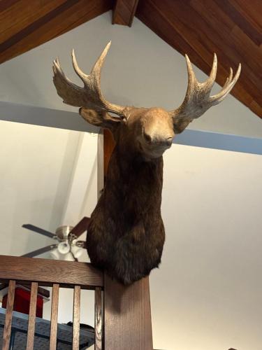 Bala Bed & Breakfast | Getaway To Muskoka