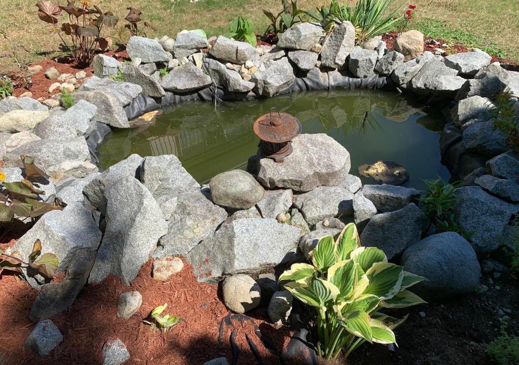 Upper Lonsdale Bed & Breakfast | Gold Fish B&B