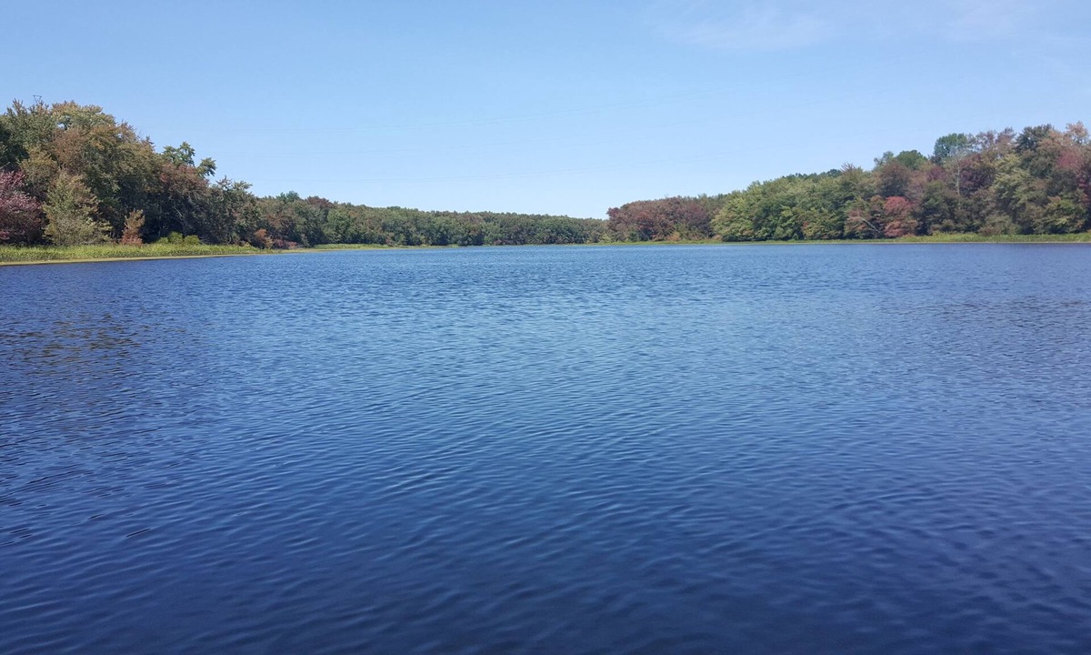 Corbyville House | Gorgeous All Season Water Front Cabin