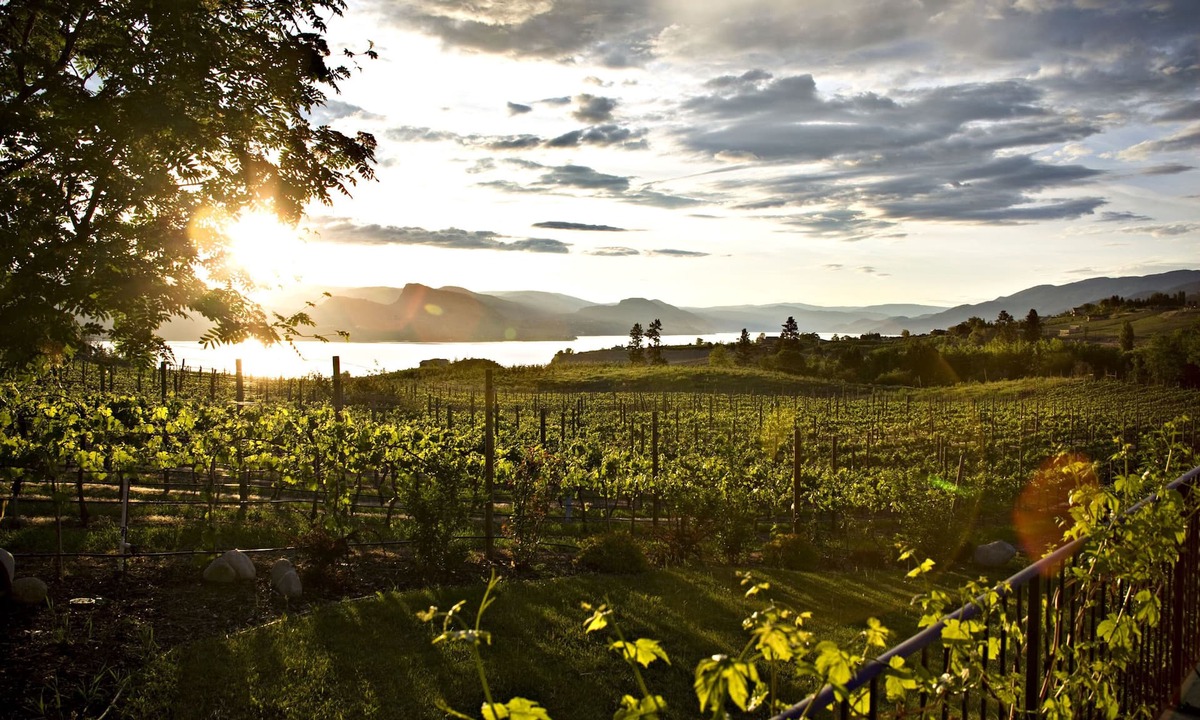 Okanagan-Similkameen House | Gorgeous suite on Gjoa's Vineyard located in the heart of the Naramata Bench