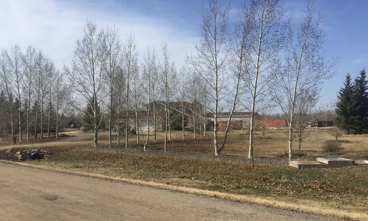 Leduc County House | Green Ribbon Acres, in beautiful Leduc County