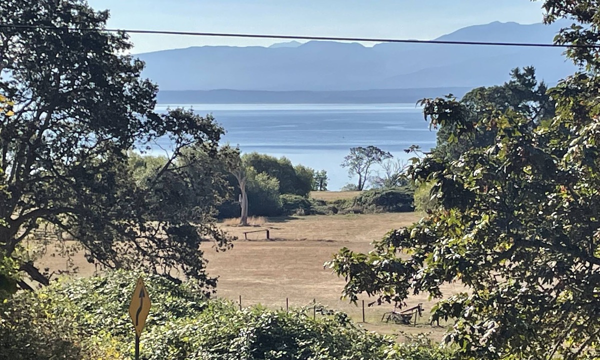 Hornby Island Apartment | Heron Rocks Lookout: Ocean view studio and patio 10 min walk to beach
