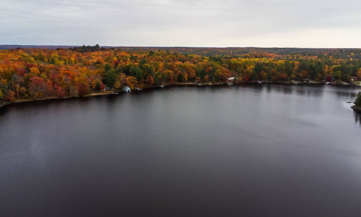 Muskoka Lakes Cottage | HK'S Hidden Haven! (Muskoka Lake Cottages#2)