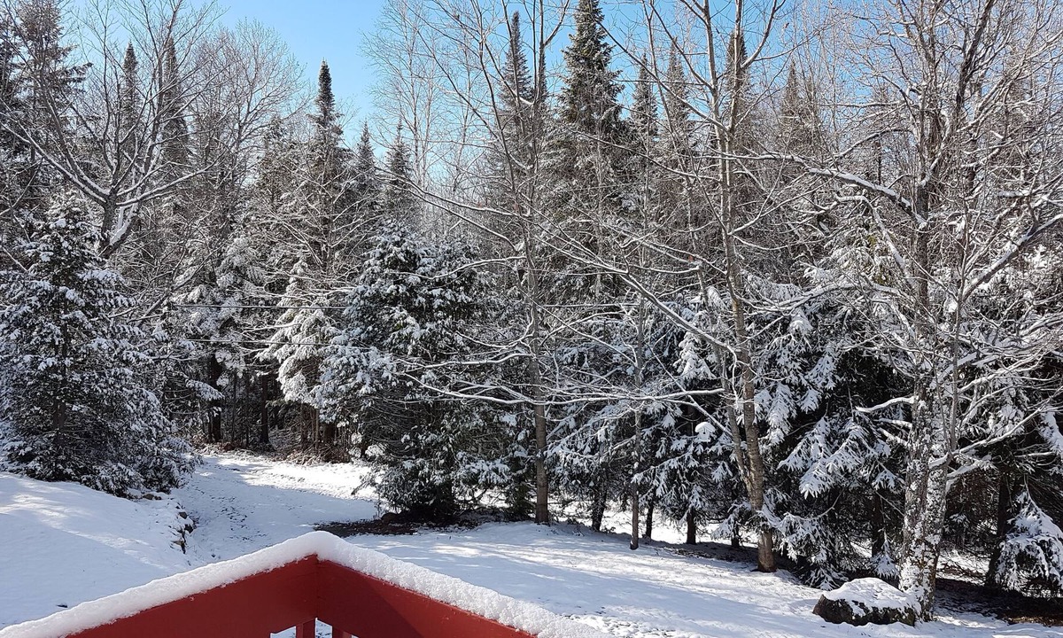 Entrelacs Ski Chalet | Intimate 4 season chalet in Lanaudière Quebec WIFI FIREPLACE terrain privé + lac