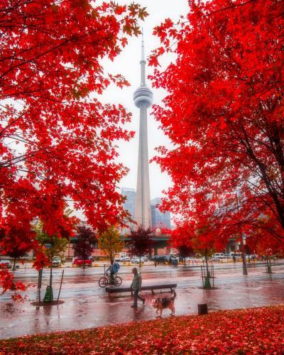Downtown Toronto Apartment | Lakeview Luxury Suites - Excellent Location - Complementary Parking