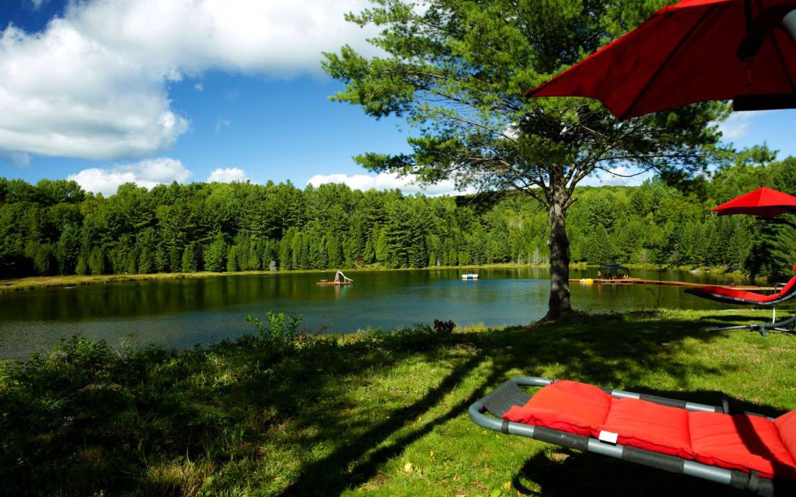 Hastings Highlands Cabin | Lodge ∙ 1 bedroom ∙ 4 guests