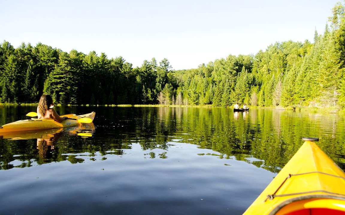 Hastings Highlands Cabin | Lodge ∙ 1 bedroom ∙ 2 guests