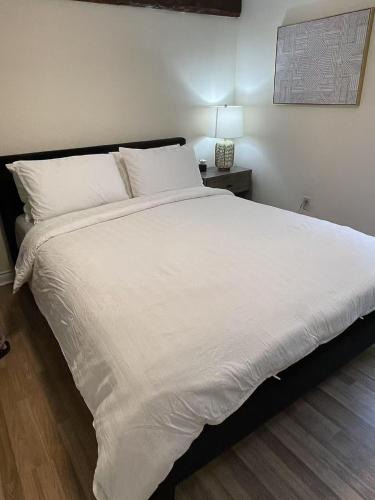 Queens Square House | Lovely single room 5 minutes walk from ocean