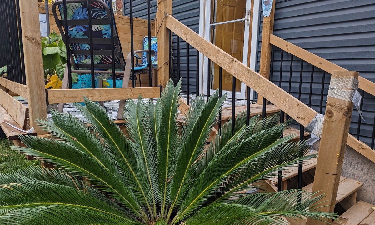 Niagara Falls Apartment | Luna house- City Centre and Bus Stop - Perfect for 2 people and pet + hot tub