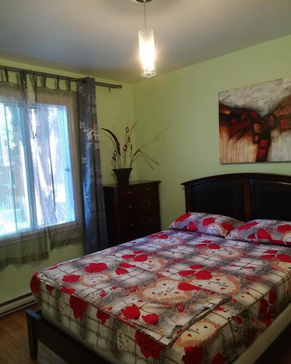 Hochelaga Apartment | Montreal Authentic appartment