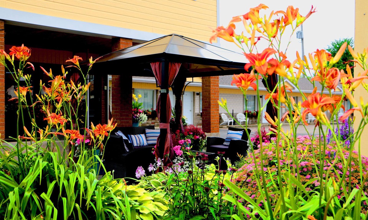 Montmagny Regional County Municipality Hotel | Motel Centre-Ville