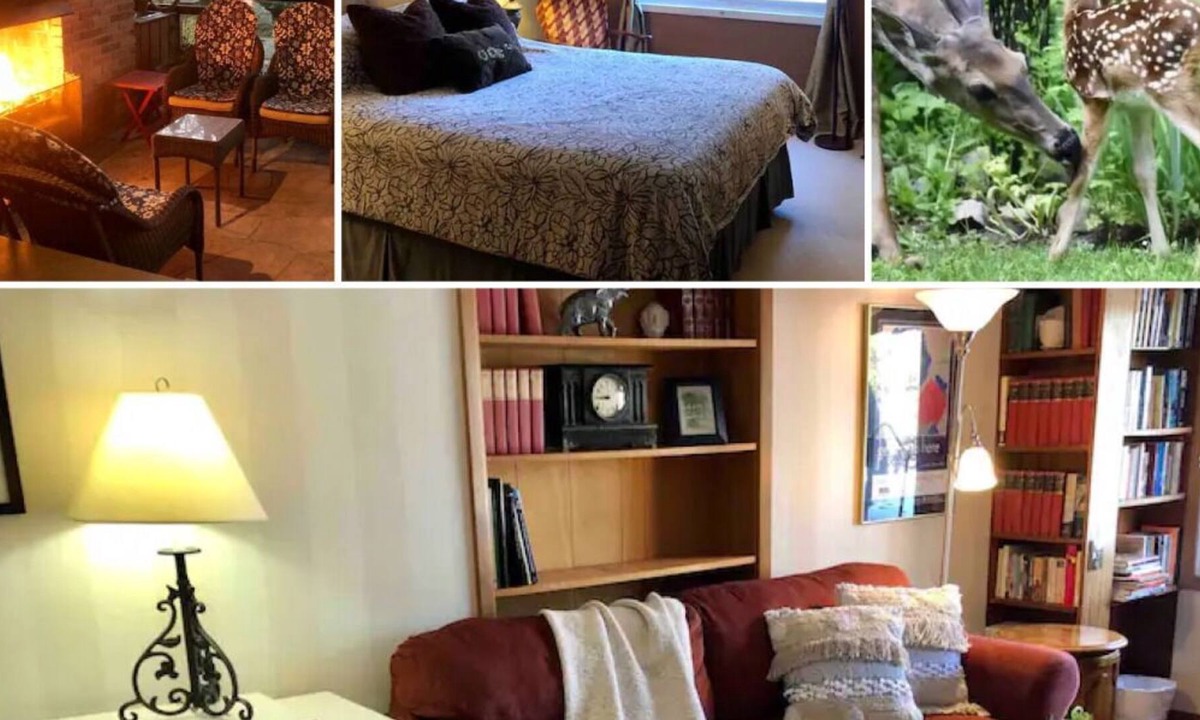 London Apartment | Nestled in nature; 2BD apt. in artist & writer's home