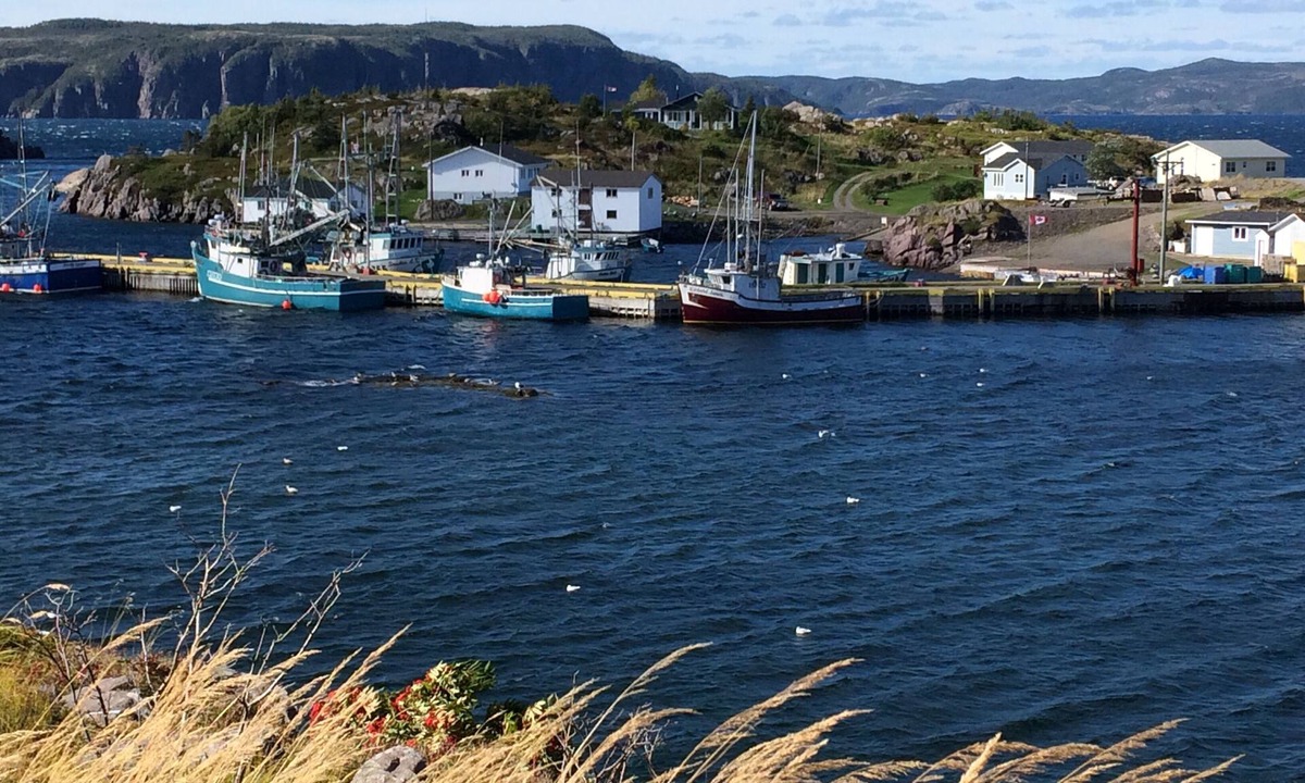 Southport House | Oceanview Southport Newfoundland!