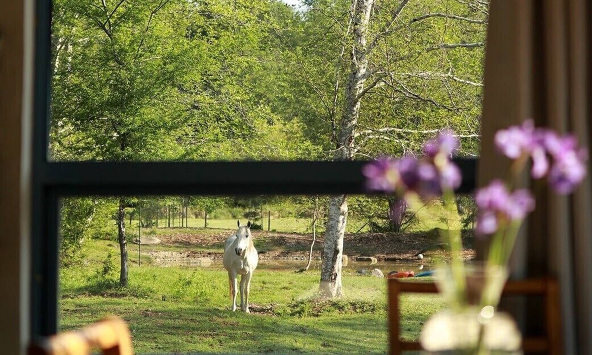 Denman Island House | Peaceful Island-style garden filled acreage