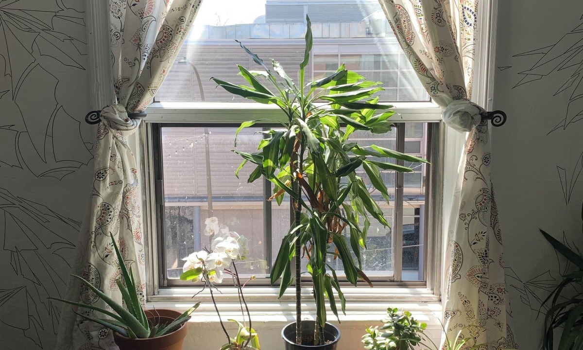 Mile End House | Pensione Popolo