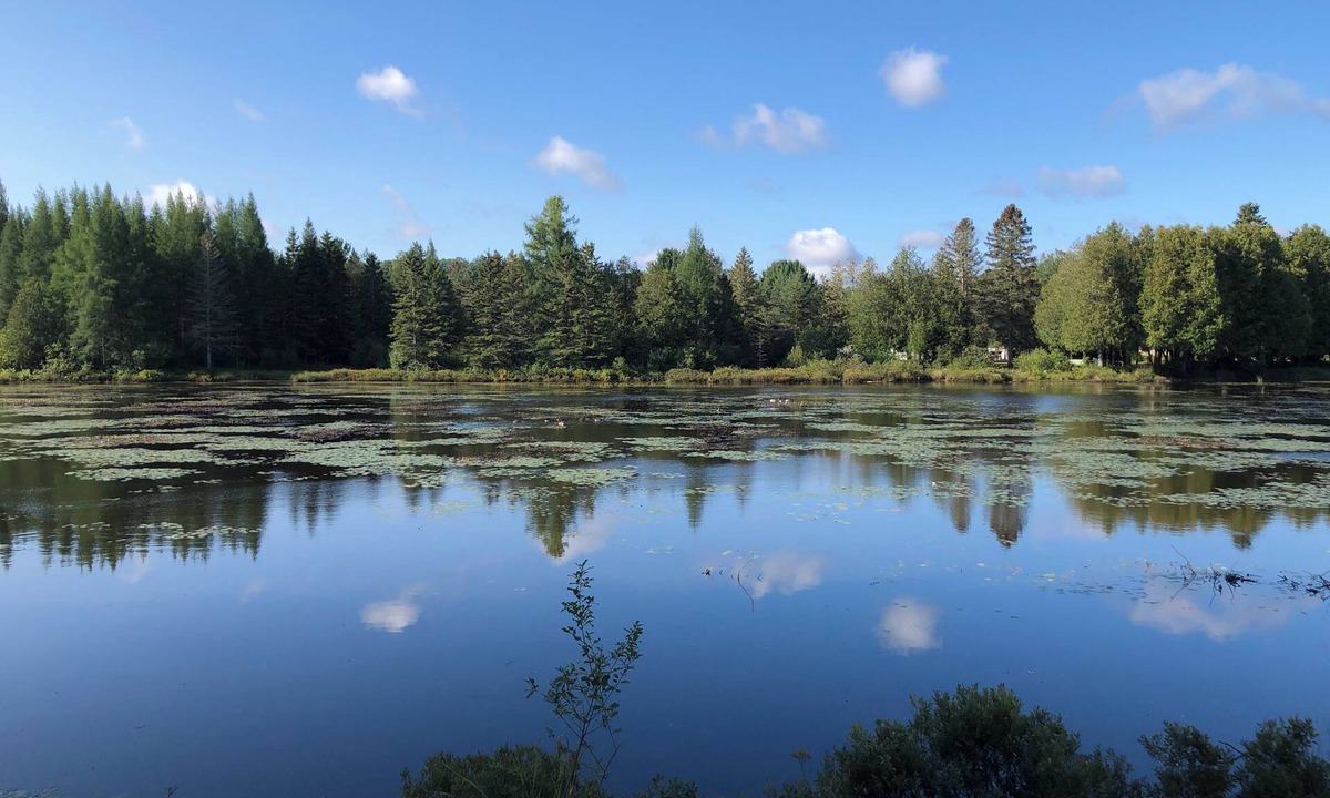 Val Morin Apartment | Petit Train du Nord - KM 39 - Cedar Creek GetAway