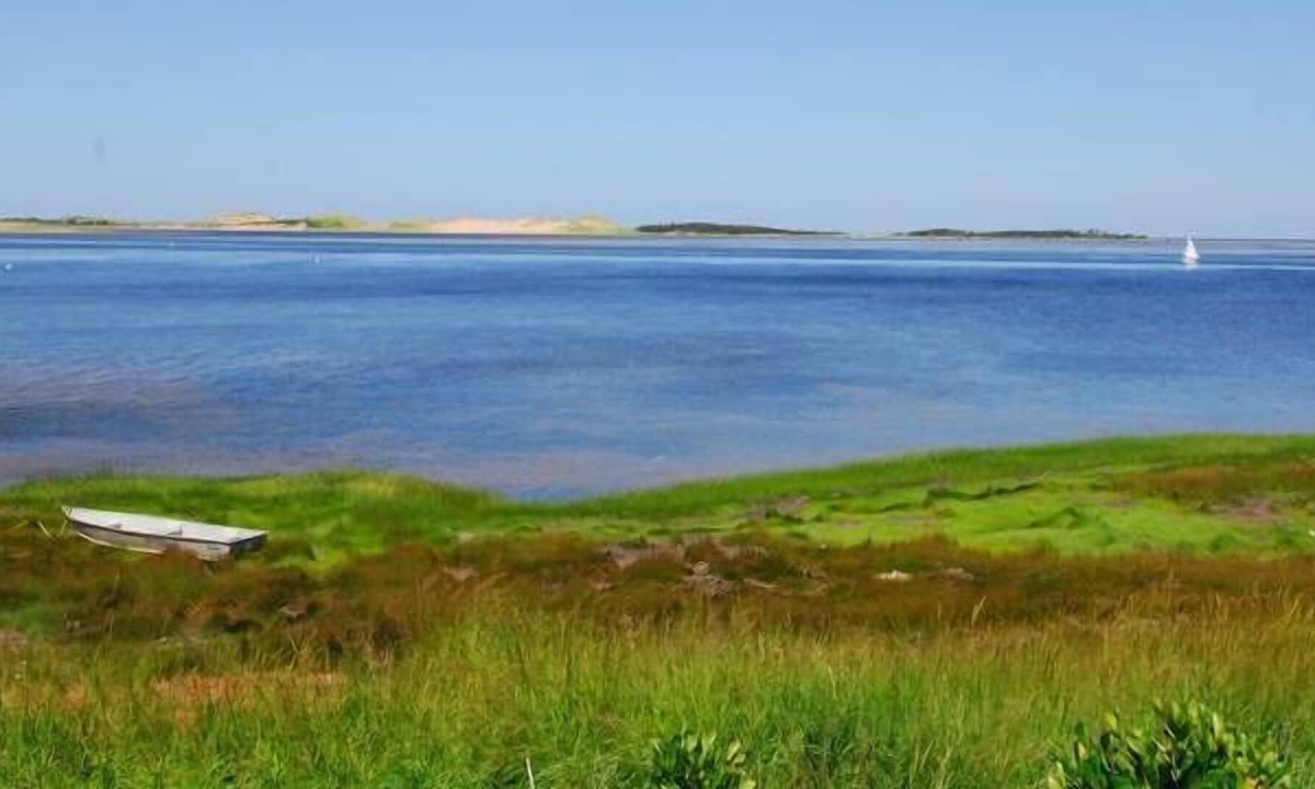 York Cottage | Private, Seagrass Oceanfront Retreat, near PEI National Park