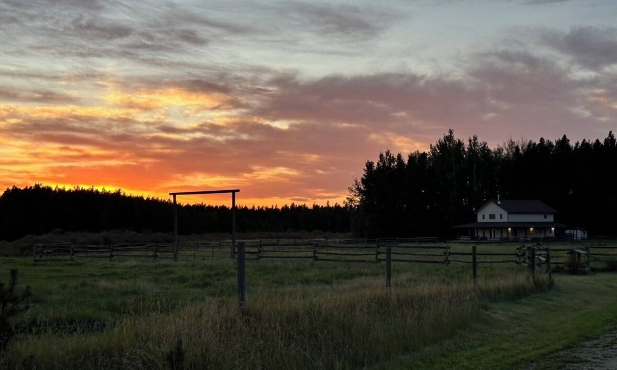 Division No. 11 House | Private Secluded House and yard on Beautiful 1/4 section - Pet Friendly