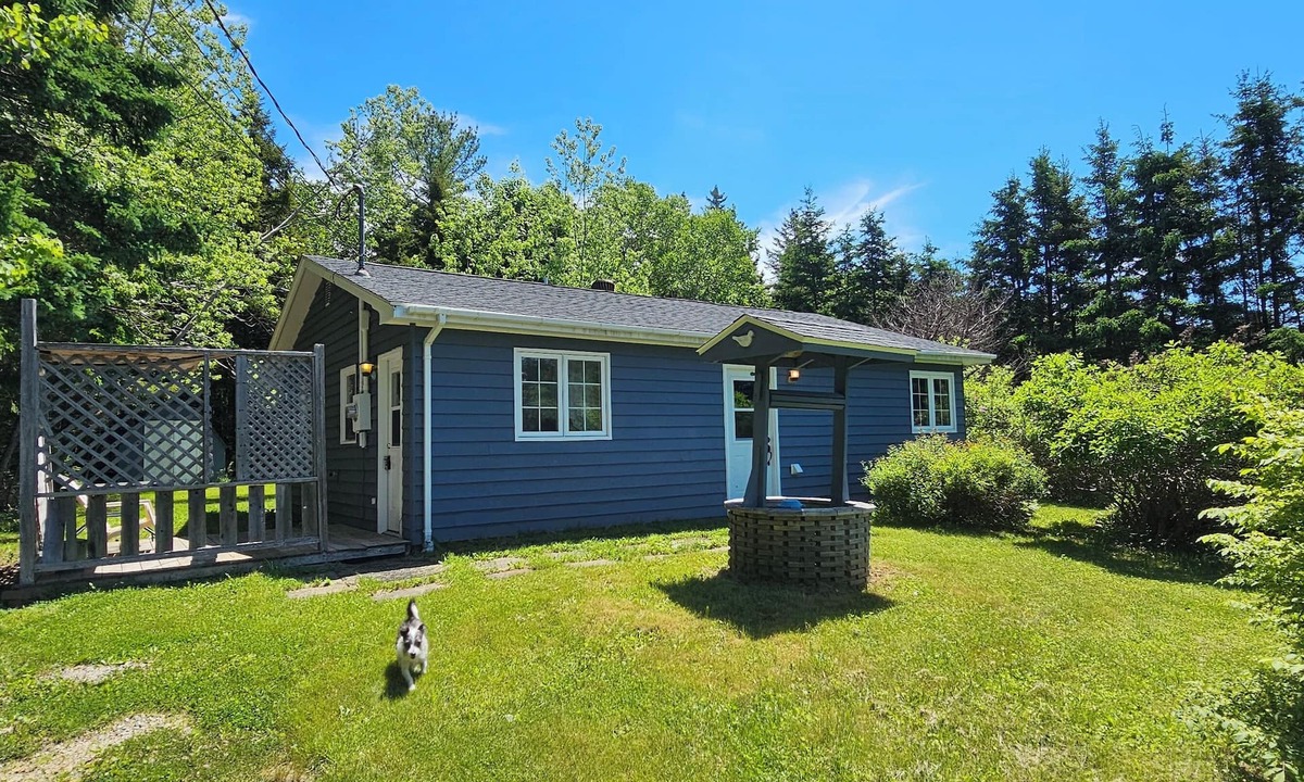 Chester House | Quiet, peaceful, private country home with a large yard