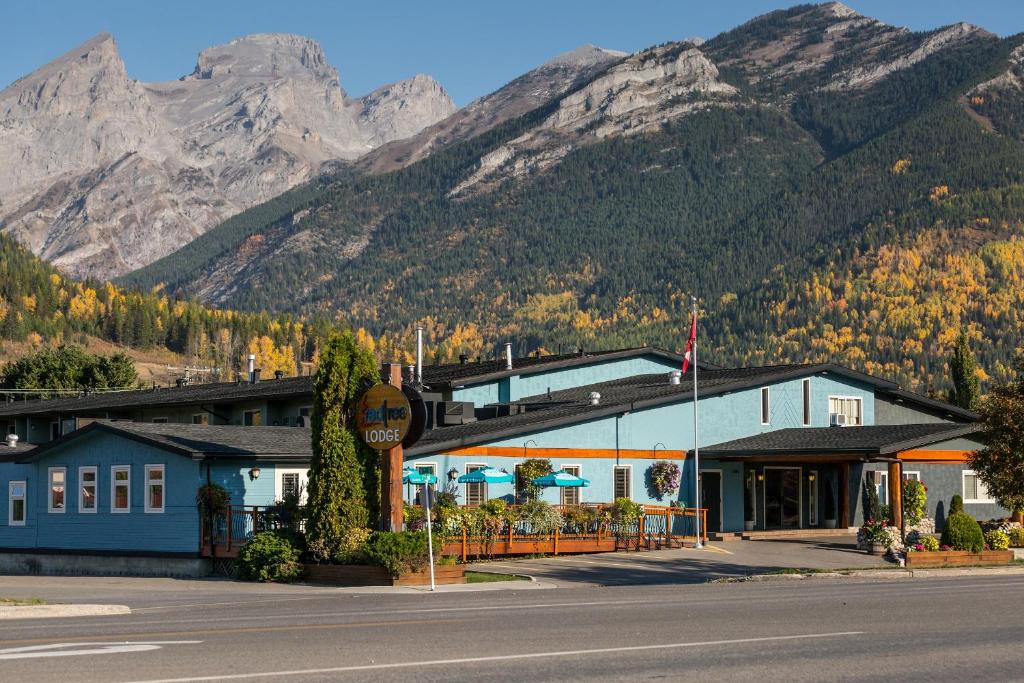 East Kootenay Hotel | Red Tree Lodge