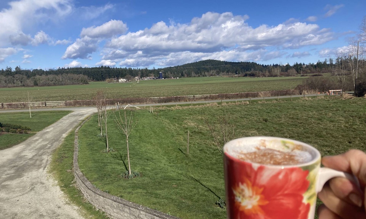 North Saanich House | Relaxing Country Retreat close to all amenities. Great for the whole family!